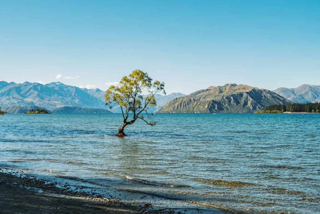 SJAllenWanaka